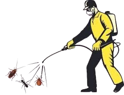 Pest control services Greater Noida