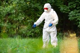 Pest Control Services