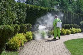 Fogging Periwinkle