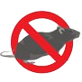 Rodent control in Greater Noida, Ghaziabad