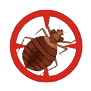 Bed bug extermination in Greater Noida